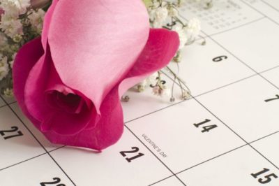 Single pink rose on a calender resting next to Valentine's Day