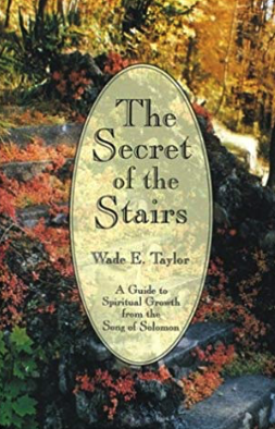 Secret of the Stairs by Wade E Taylor