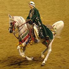 Picture of white horse and Shepherd-King rider
