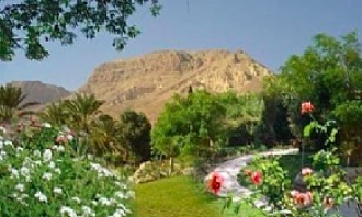Picture of Ein-Gedi Botanical Gardens, Modern Day Israel