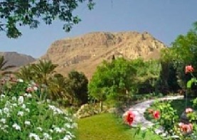 The Ein-gedi Botanical Gardens, Israel