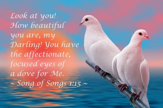 Song of Solomon 1:15 Eyes of a Dove 