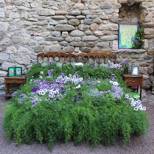 Picture of a green bed of plants