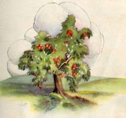 image of tree with fruit