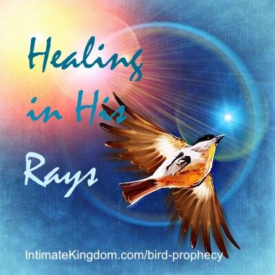 Healing in His Rays - Malachi 4:2